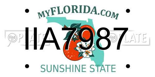 IIA7987 Florida License Plate