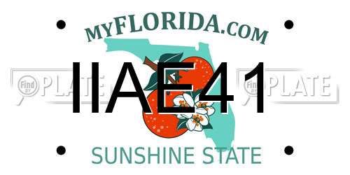 IIAE41 Florida License Plate