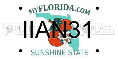 IIAN31 Florida License Plate