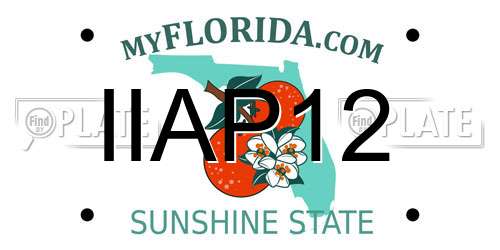 IIAP12 Florida License Plate