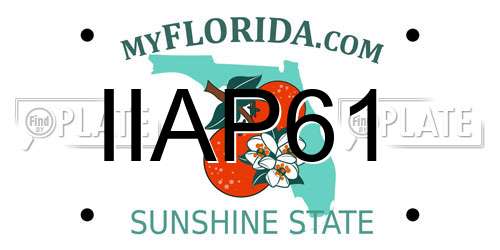 IIAP61 Florida License Plate
