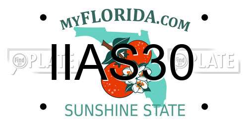 IIAS30 Florida License Plate