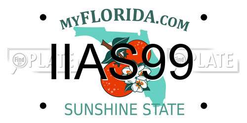 IIAS99 Florida License Plate