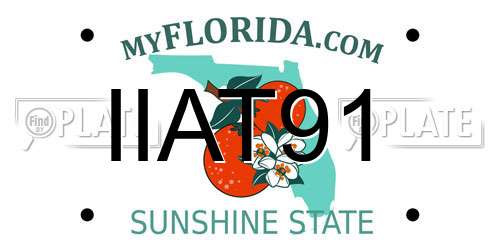 IIAT91 Florida License Plate