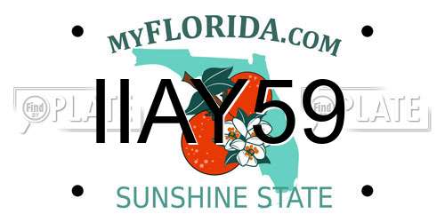 IIAY59 Florida License Plate