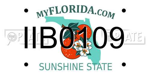 IIB0109 Florida License Plate