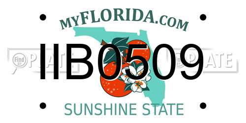 IIB0509 Florida License Plate