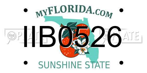 IIB0526 Florida License Plate
