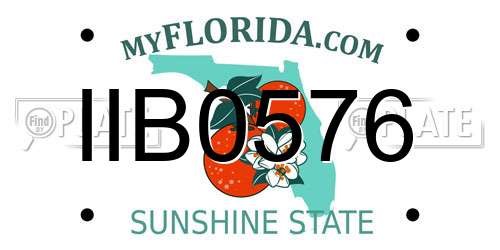 IIB0576 Florida License Plate