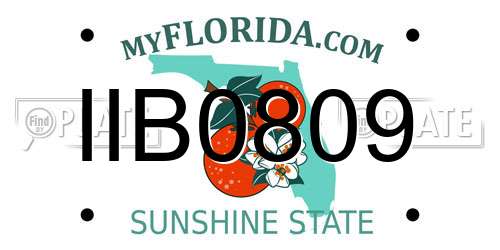 IIB0809 Florida License Plate