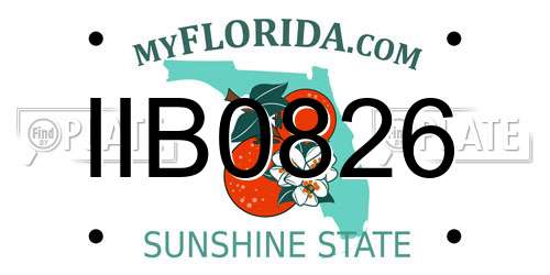 IIB0826 Florida License Plate
