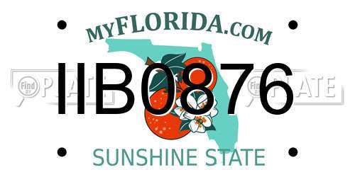 IIB0876 Florida License Plate