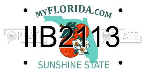 IIB2113 Florida License Plate