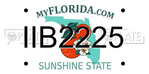 IIB2225 Florida License Plate