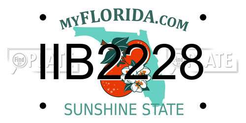IIB2228 Florida License Plate