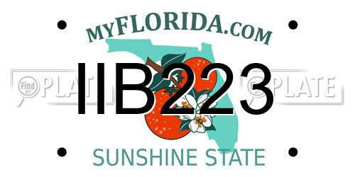 IIB223 Florida License Plate