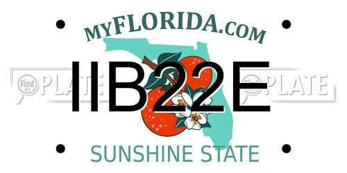 IIB22E Florida License Plate