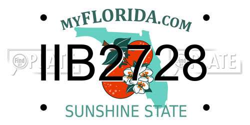 IIB2728 Florida License Plate
