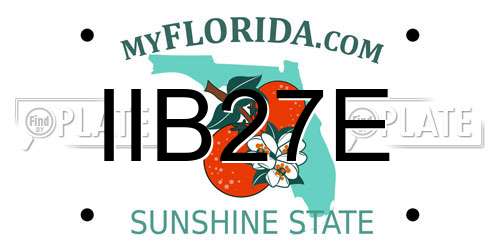 IIB27E Florida License Plate