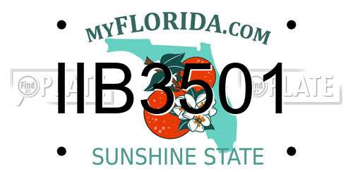 IIB3501 Florida License Plate