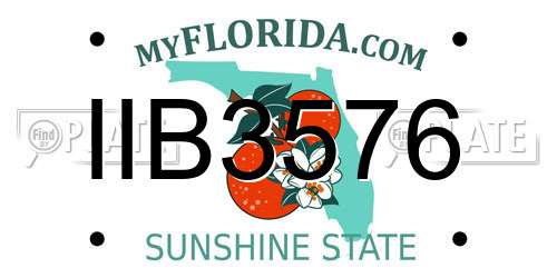 IIB3576 Florida License Plate