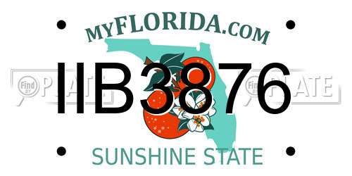 IIB3876 Florida License Plate
