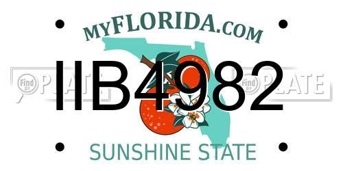 IIB4982 Florida License Plate