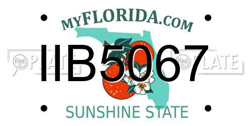 IIB5067 Florida License Plate