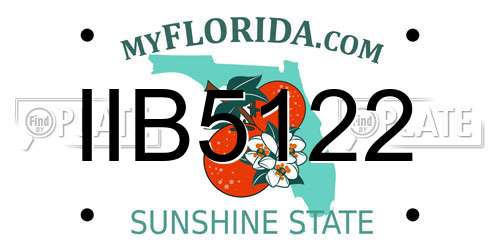 IIB5122 Florida License Plate