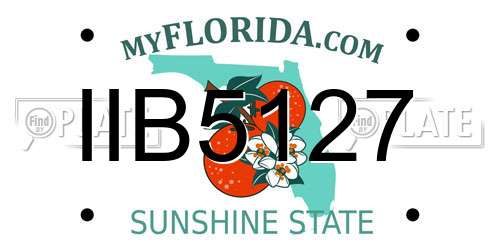 IIB5127 Florida License Plate