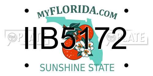 IIB5172 Florida License Plate
