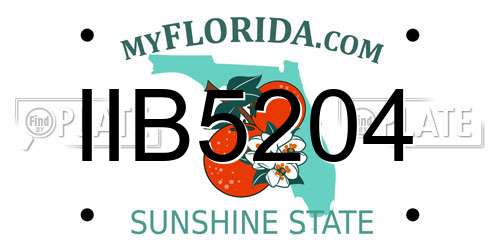 IIB5204 Florida License Plate