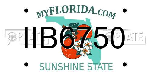 IIB6750 Florida License Plate