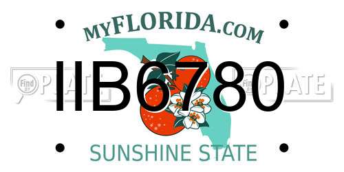 IIB6780 Florida License Plate