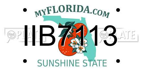 IIB7113 Florida License Plate