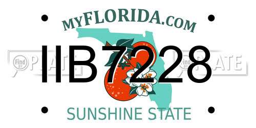 IIB7228 Florida License Plate