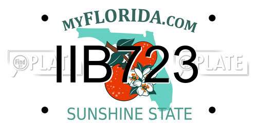 IIB723 Florida License Plate
