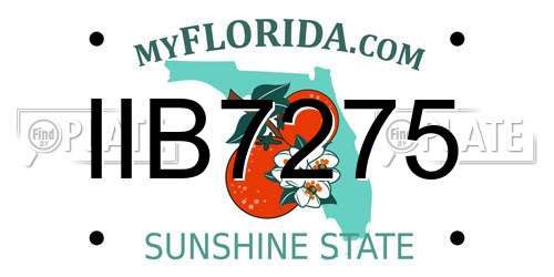 IIB7275 Florida License Plate