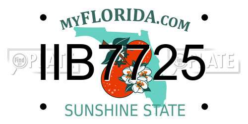 IIB7725 Florida License Plate