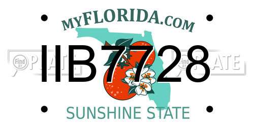 IIB7728 Florida License Plate