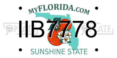 IIB7778 Florida License Plate