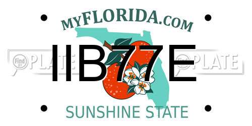 IIB77E Florida License Plate