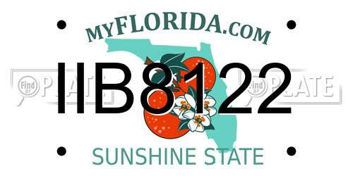 IIB8122 Florida License Plate