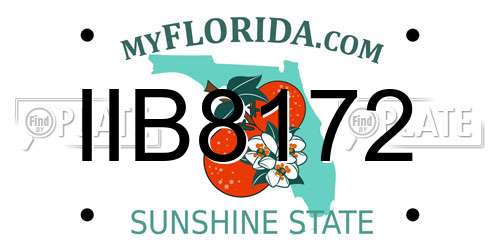 IIB8172 Florida License Plate