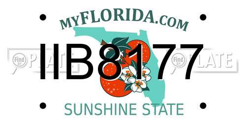 IIB8177 Florida License Plate