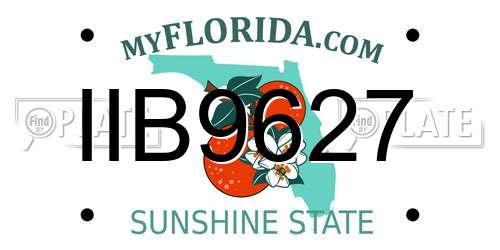 IIB9627 Florida License Plate