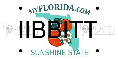 IIBBITT Florida License Plate