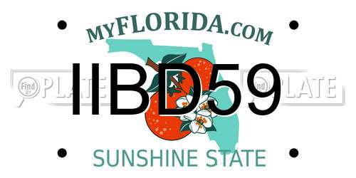IIBD59 Florida License Plate
