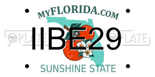 IIBE29 Florida License Plate