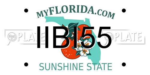IIBI55 Florida License Plate